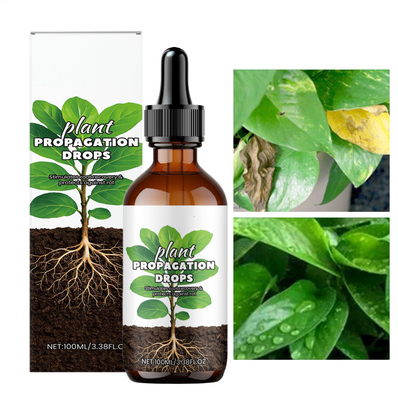 根の成長促進剤 100ml 液体根刺激剤 健康な植物のための - Root Stimulator Liquid のレビューと価格